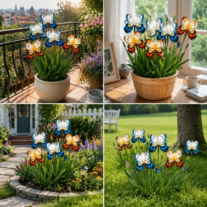 🦋Butterfly Iris - ✨Grow Your Magical Garden Showstopper