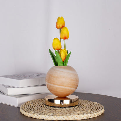 Three-Color Tulip Planet Night Light