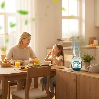 🔥2026 New & Upgraded -- Indoor Air Purification Dust Removal Magic Box🏠